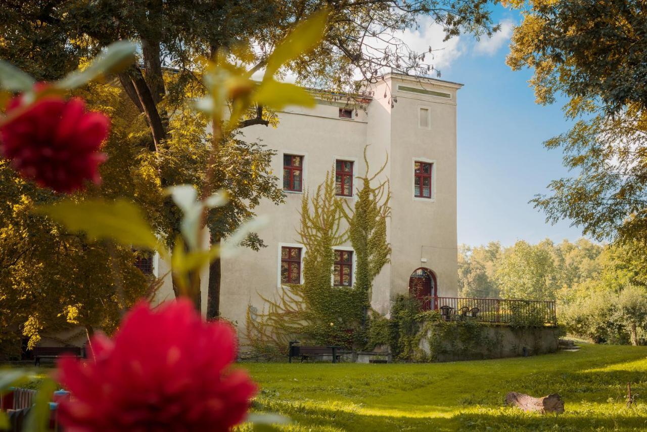 Zamek Dobroszyce Aparthotel Bagian luar foto