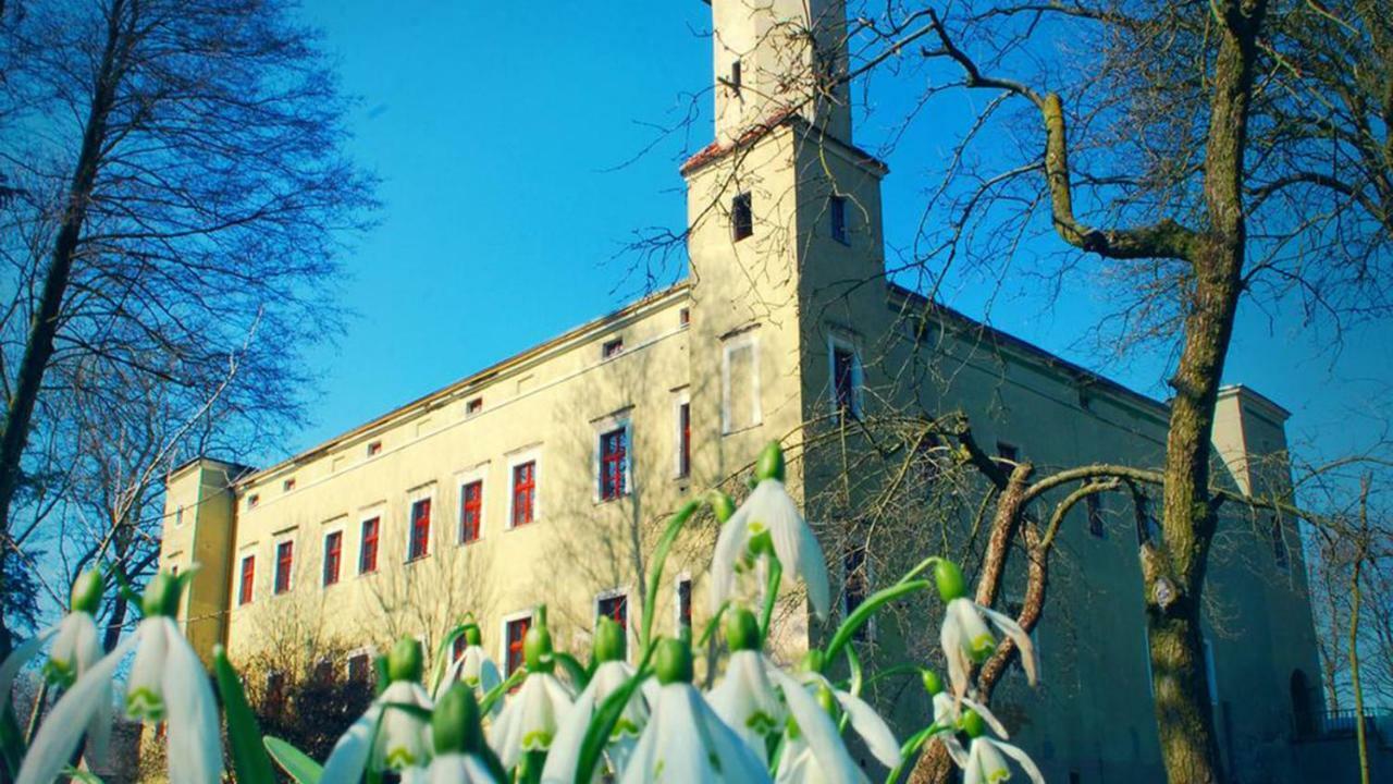 Zamek Dobroszyce Aparthotel Bagian luar foto