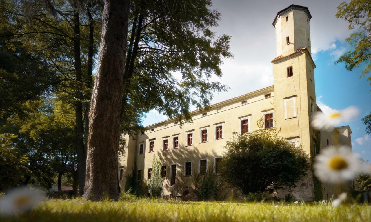 Zamek Dobroszyce Aparthotel Bagian luar foto