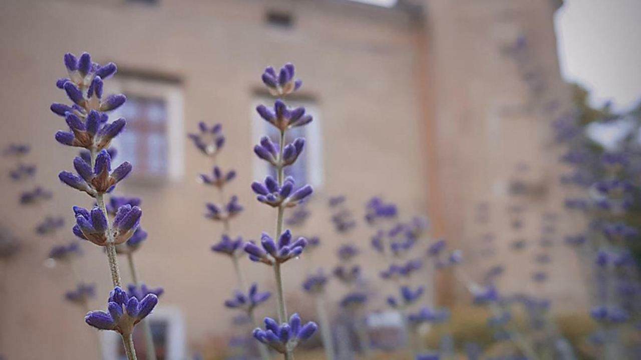 Zamek Dobroszyce Aparthotel Bagian luar foto