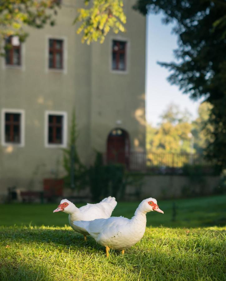Zamek Dobroszyce Aparthotel Bagian luar foto